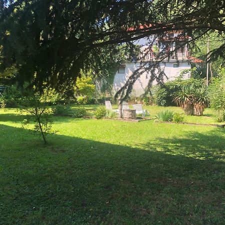 Vila Labod, Unique Villa At The Lake Most na Soči Esterno foto